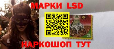 стаф Славгород