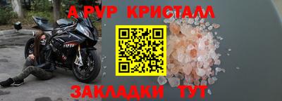 стаф Славгород
