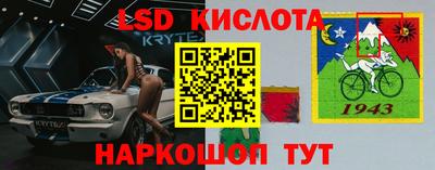 наркотики Сланцы