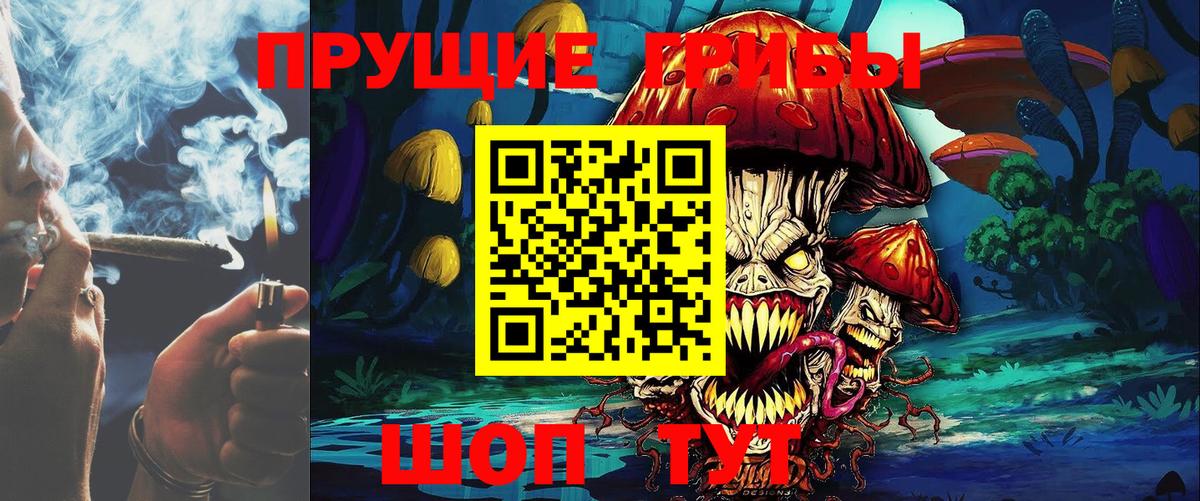 Псилоцибиновые грибы прущие грибы  Вход с VPN  Нальчик 
